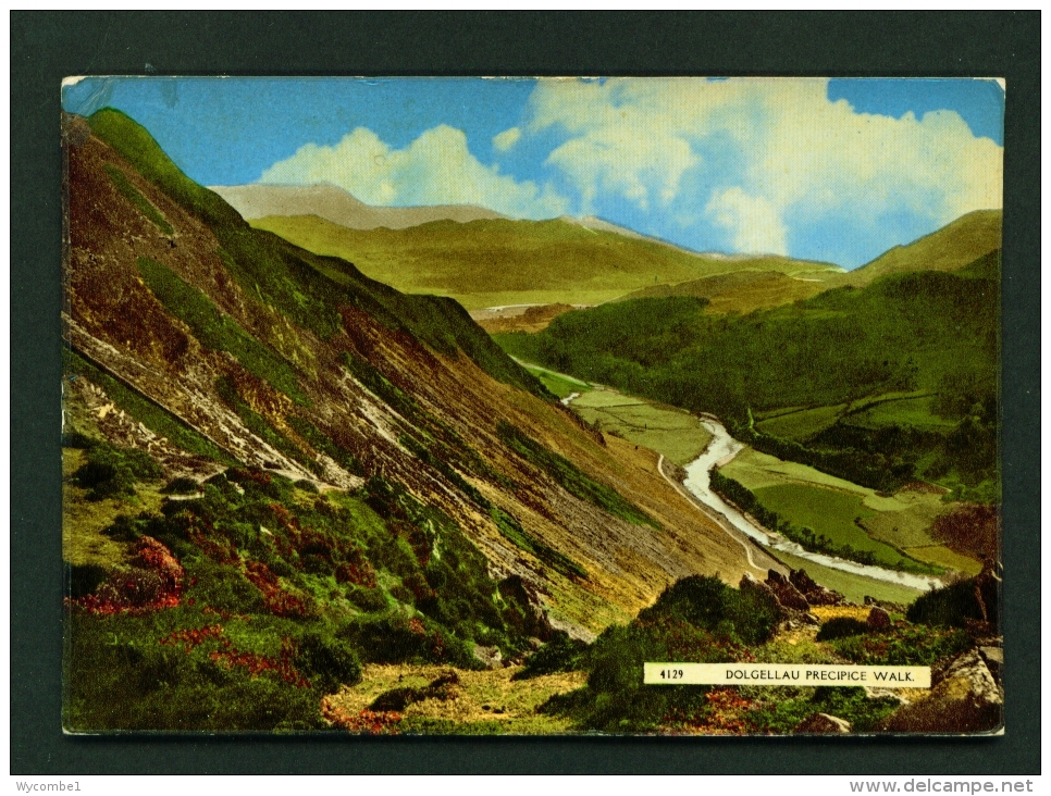 WALES  -  Dolgellau  Precipice Walk  Used Postcard - Merionethshire