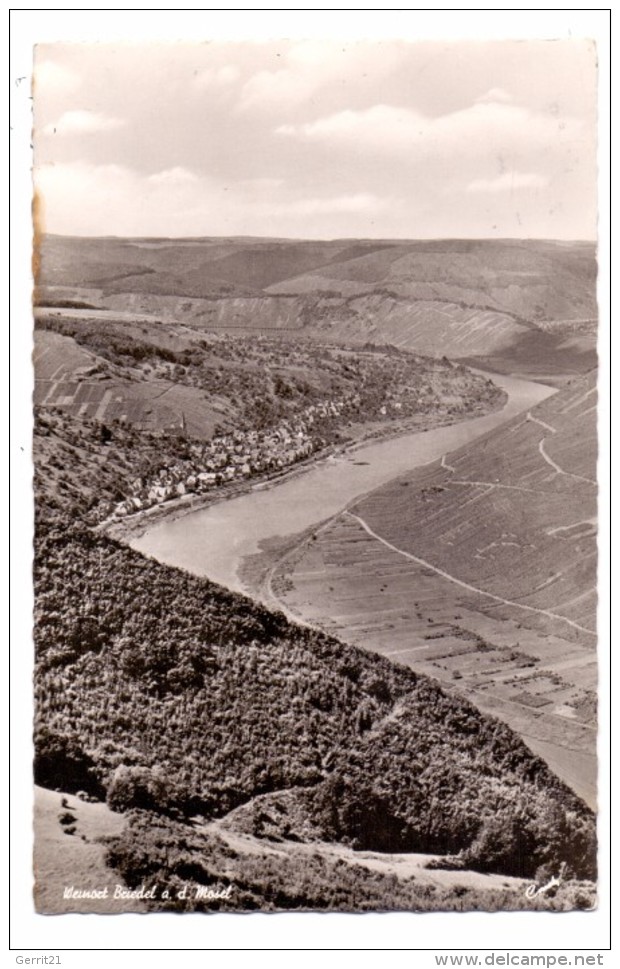 5583 ZELL - BRIEDEL, Panorama, 1958 - Zell