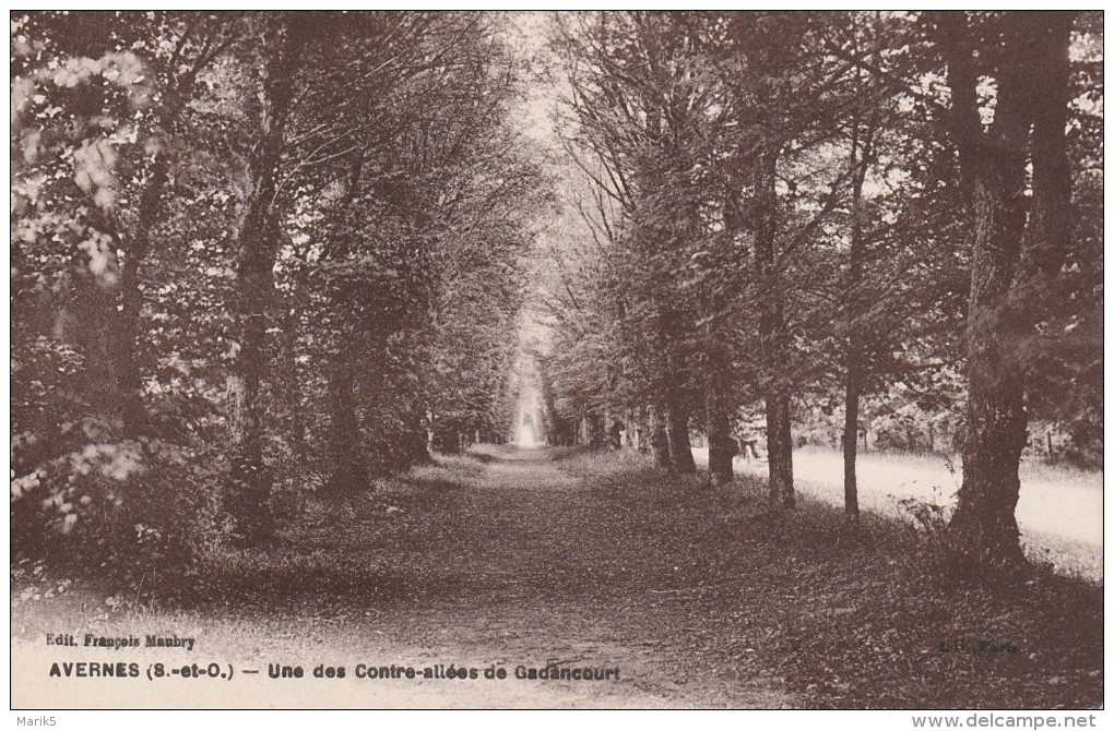 AVERNES  Une Contre-allée De Gadancourt - Avernes