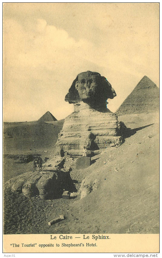 Egypte - Egypt - Pyramides - Cairo - Le Caire - Le Sphinx - 2 Scans - état - Sphynx