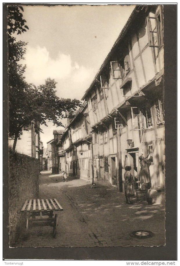 Detmold. Adolf Strasse. Fenster Putzen. WERBE POSTSTEMPEL - Detmold