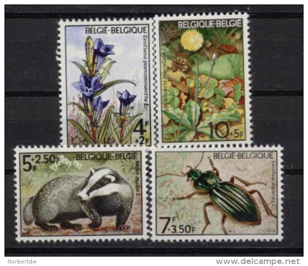Belgium**FAUNA  & FLORA-Badger-Beetle-Gentian-4vals-Flowers-Insects-Mammals-1974-MNH - Unused Stamps