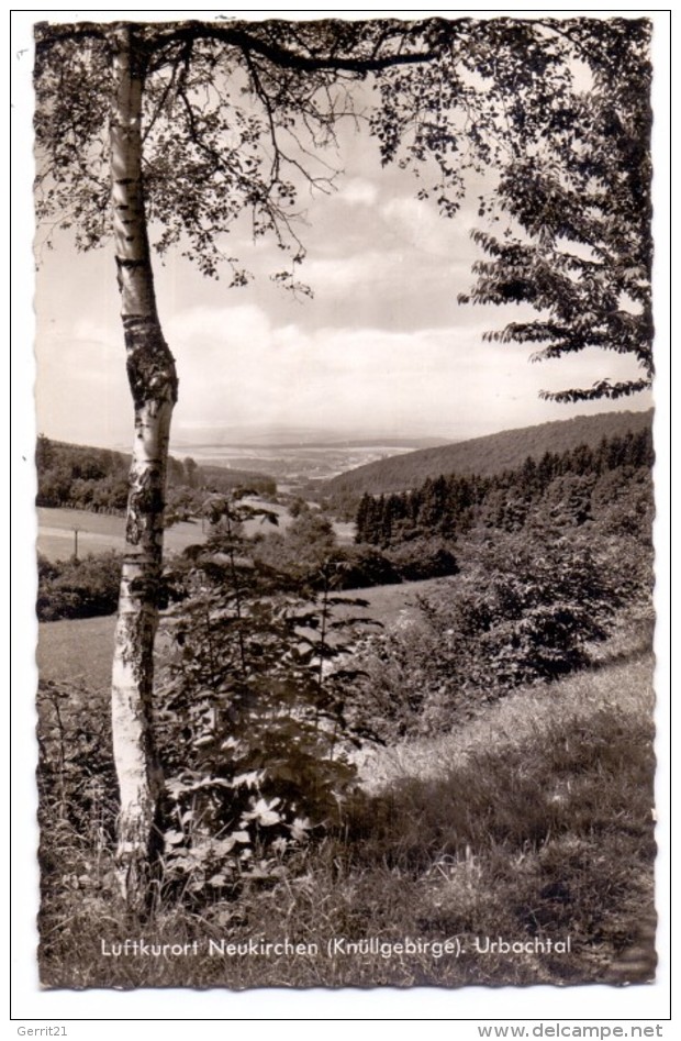 3579 NEUKIRCHEN / Knüll, Urbachtal, 1964 - Homberg