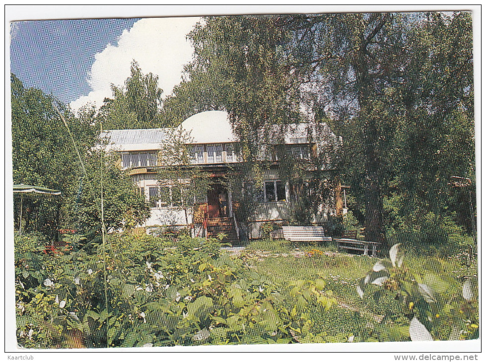 Garden In The Summer -  Finland / Suomi - Finland