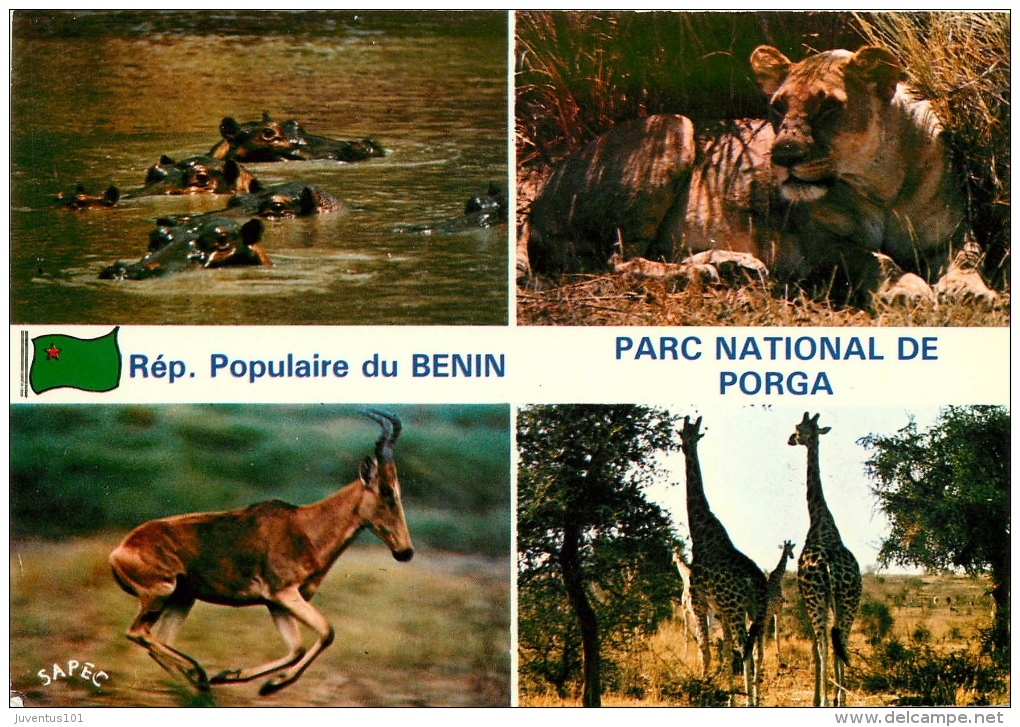 CPSM Benin-Parc National De Porga     L2136 - Benin