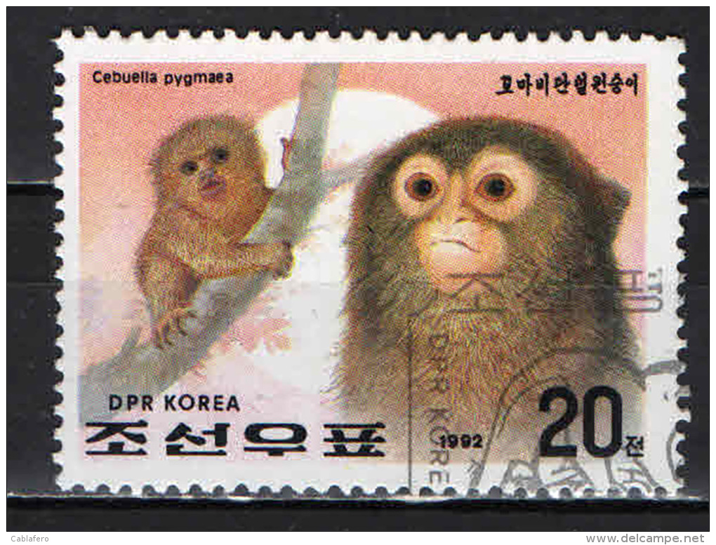 COREA DEL NORD - 1992 - SCIMMIE - USATO - Corée Du Nord