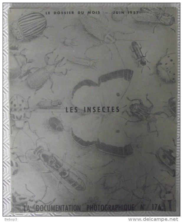 La Documentation Photographique N°176 – Les Insectes – Dossier Du Mois De Juin 1957 - Sciences