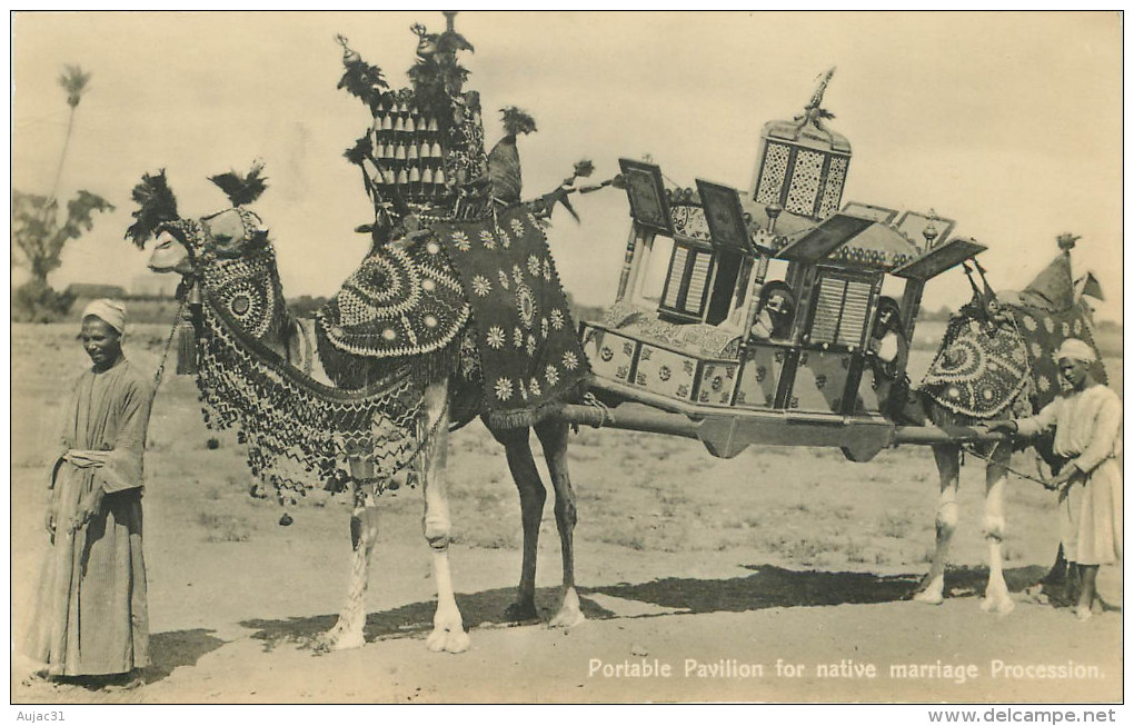 Egypte - Egypt - Animaux - Portable Pavilion For Native Marriage Procession - Bon état - Other & Unclassified