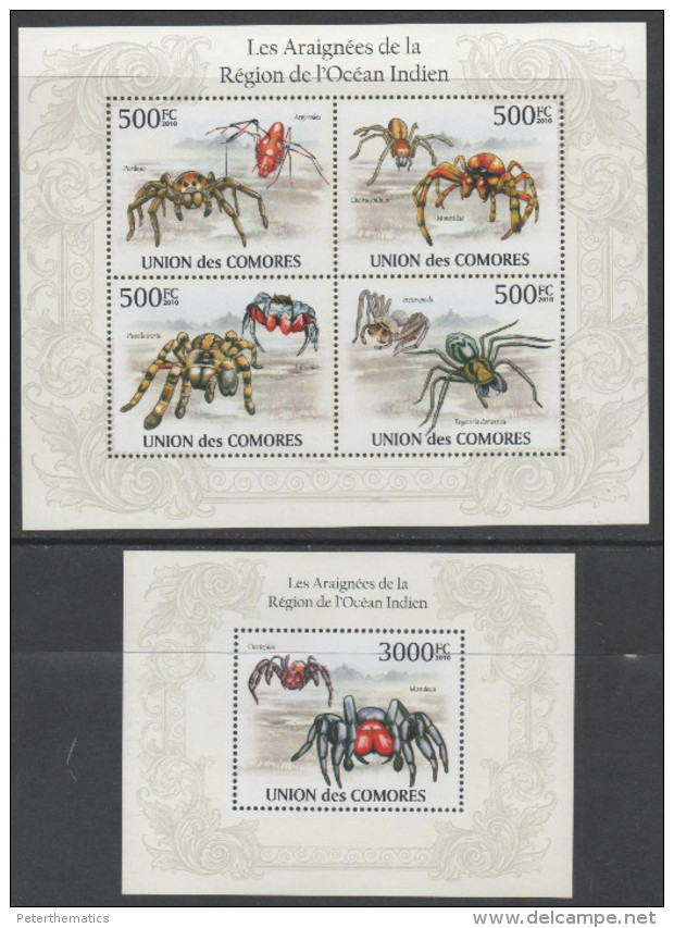 COMORES , 2010, MNH,SPIDERS, SPIDERS OF THE INDIAN OCEAN,  SHEETLET + S/SHEET - Spinnen