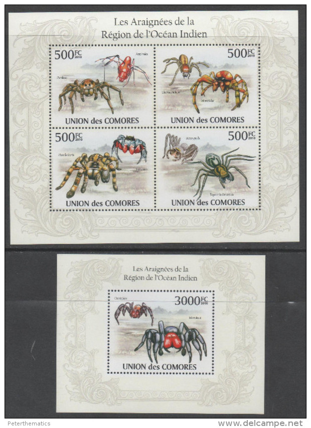 COMORES , 2010, MNH,SPIDERS, SPIDERS OF THE INDIAN OCEAN,  SHEETLET + S/SHEET - Spiders