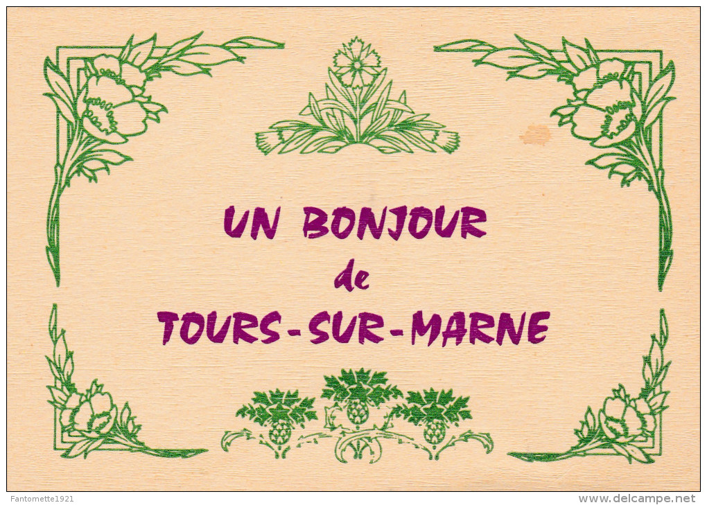 TOURS SUR MARNE CARTE DE PARTICIPATION N° 253/26/02/1995 (dil235) - Bourses & Salons De Collections