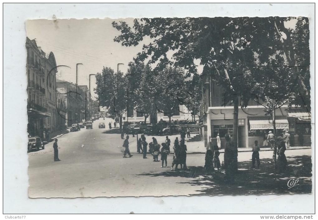 Tiaret (Algérie) : La Rue Cambon  Env 1950 (animé) PF. - Tiaret