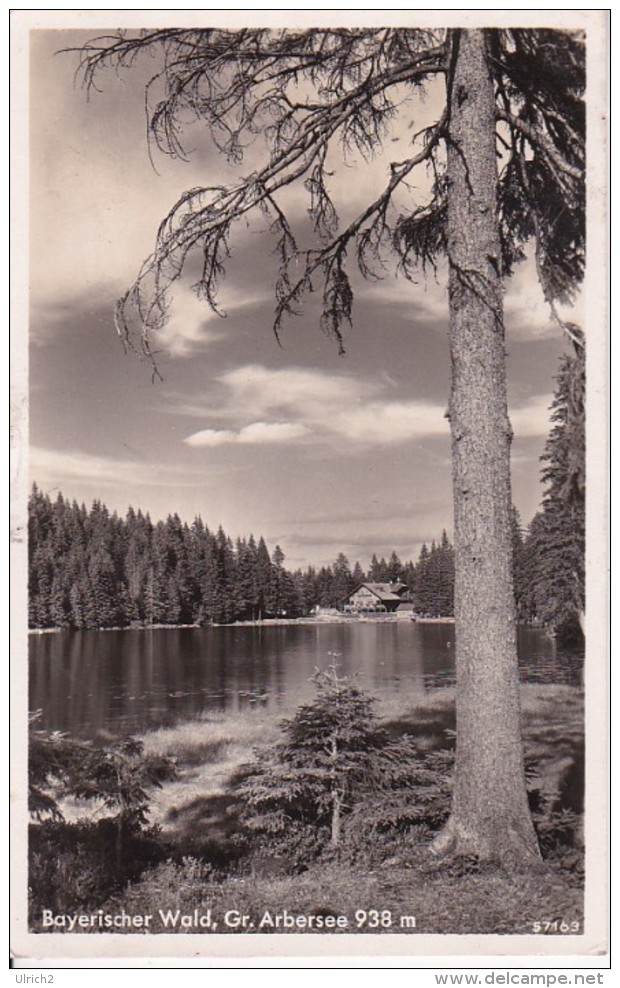 AK Bayerischer Wald - Gr. Arbersee - 1938 (23545) - Regen