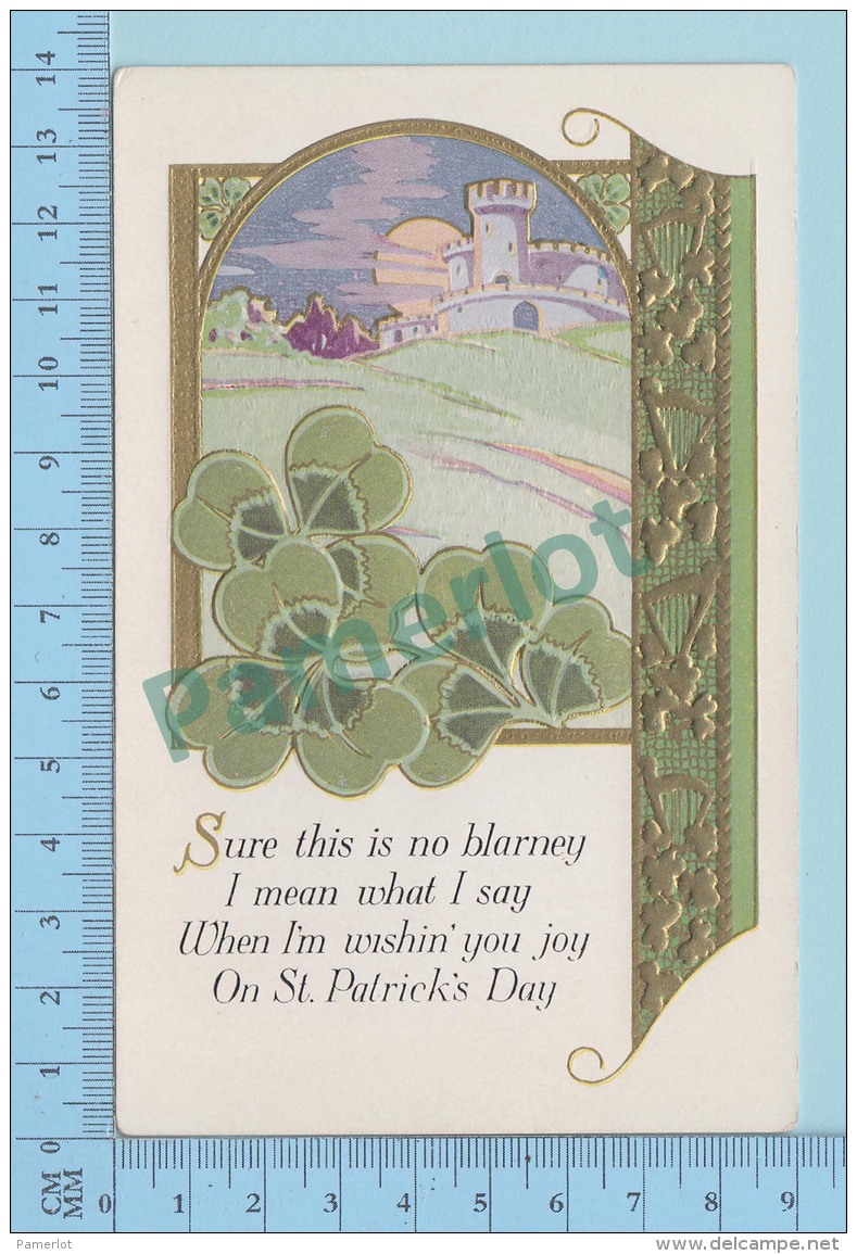 USA Cpa Embossed Gold Print,  St-Patrick's Day - Postcard Carte Postale 2 Scans - Saint-Patrick's Day