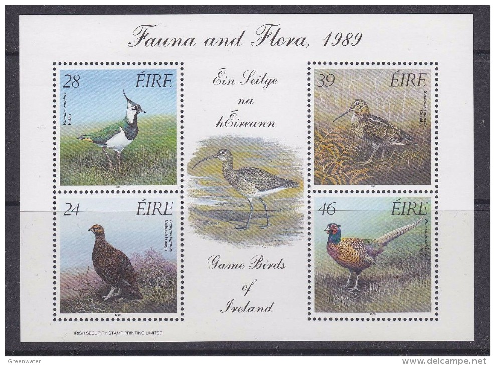 Ireland 1989 Fauna And Flora M/s ** Mnh (30668D) - Blocchi & Foglietti