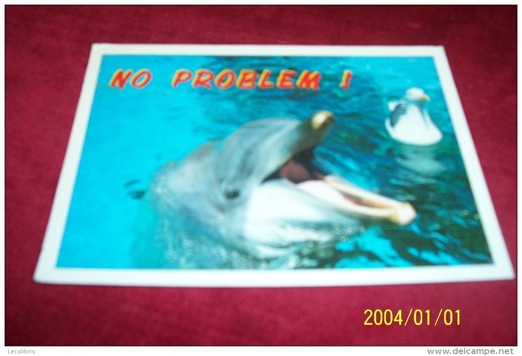 THEMES LES DAUPHINS ° NO PROBLEM  LE 20 08 2002 - Dauphins