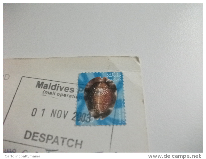 STORIA POSTALE FRANCOBOLLO CONCHIGLIA SHELL MALDIVES SPIAGGIA - Maldive