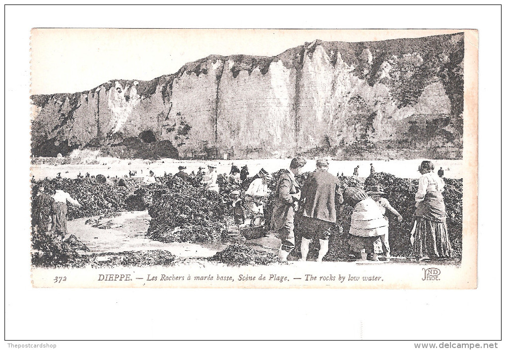 CPA 76 - DIEPPE - LES ROCHERS A MARÉE BASSE - SCENE DE PLAGE - ANIMÉE The Rocks By Ldos Non Divise Early Unused Postcard - Dieppe