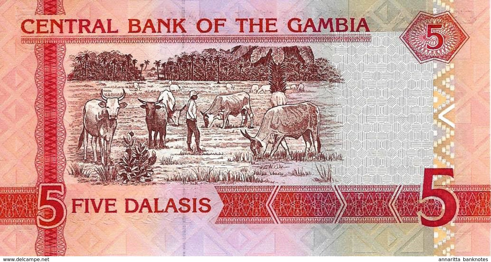 GAMBIA 5 DALASIS ND (2006) P-25 UNC [GM222a ] - Gambia