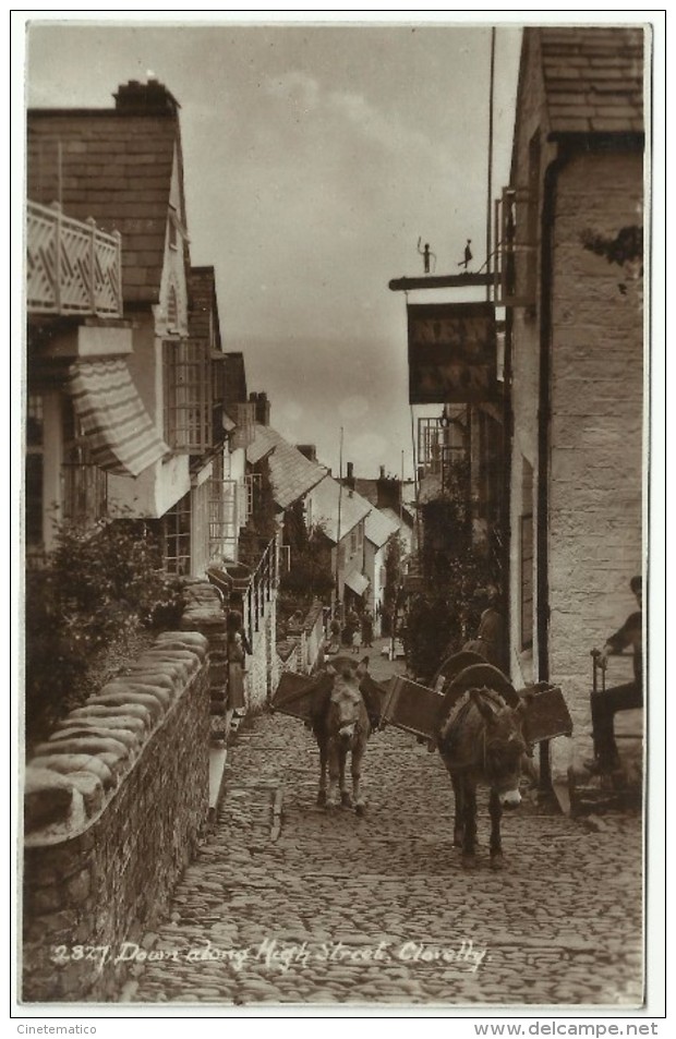 England - CLOVELLY: Down Along High Street With Mules - Clovelly