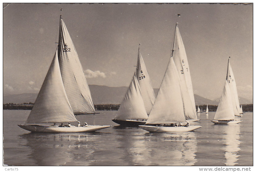 Suisse - Creux De Genthod - Courses Bâteaux Voiliers Régates - 1952 - Genthod