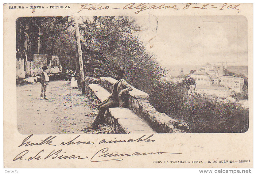 Portugal - Sabuga Cintra  - 1902 Cachet Postal Faro Algarve Sigogne Charente - Lisboa