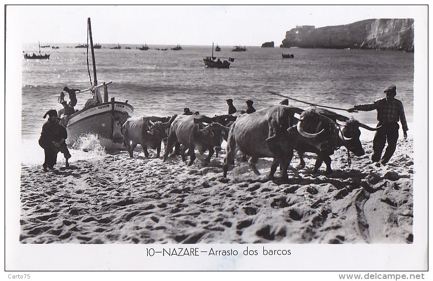 Portugal - Nazaré - Pêcheurs - Attelage Boeufs - Bâteau Pêche - Leiria