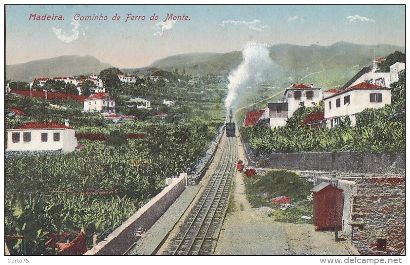 Portugal - Madeira - Caminho De Ferro Do Monte - Chemin De Fer - Madeira