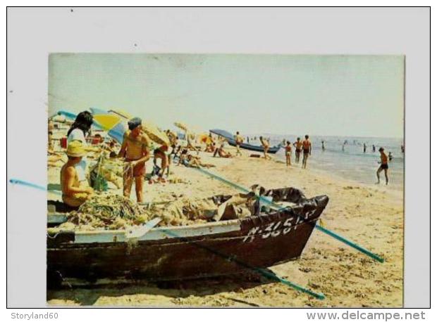 Cpm 344917 Frontignan Plage La Plage Et Ses Activités Diverses - Frontignan