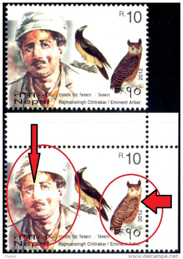 BIRDS-RAPTORS-OWLS & OTHER BIRDS-ERROR-PAINTED BY RS CHITRAKAR-NEPAL-2012-MNH-TP-501 - Eulenvögel