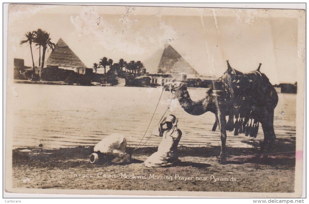 AFRIQUE,EGYPTE,EGYPT,LE CAIRE,CAIRO,1930,chameau,pause Priere - Other & Unclassified