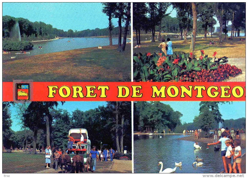 CPM  La Havre Foret De Montgeon - Forêt De Montgeon