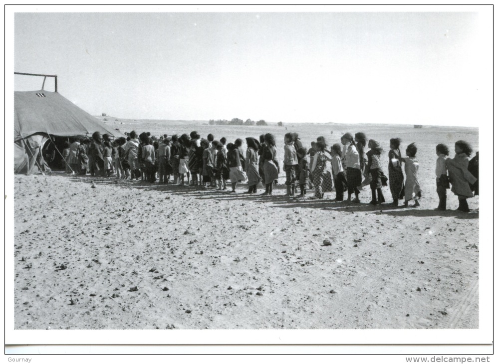 Sahara Occidental : 1774/11- Ecoliers Mai Réfugiés Sahraouis 1976 J´réfia Gonfreville Jumelées Photo Bloncourt - Sahara Occidentale