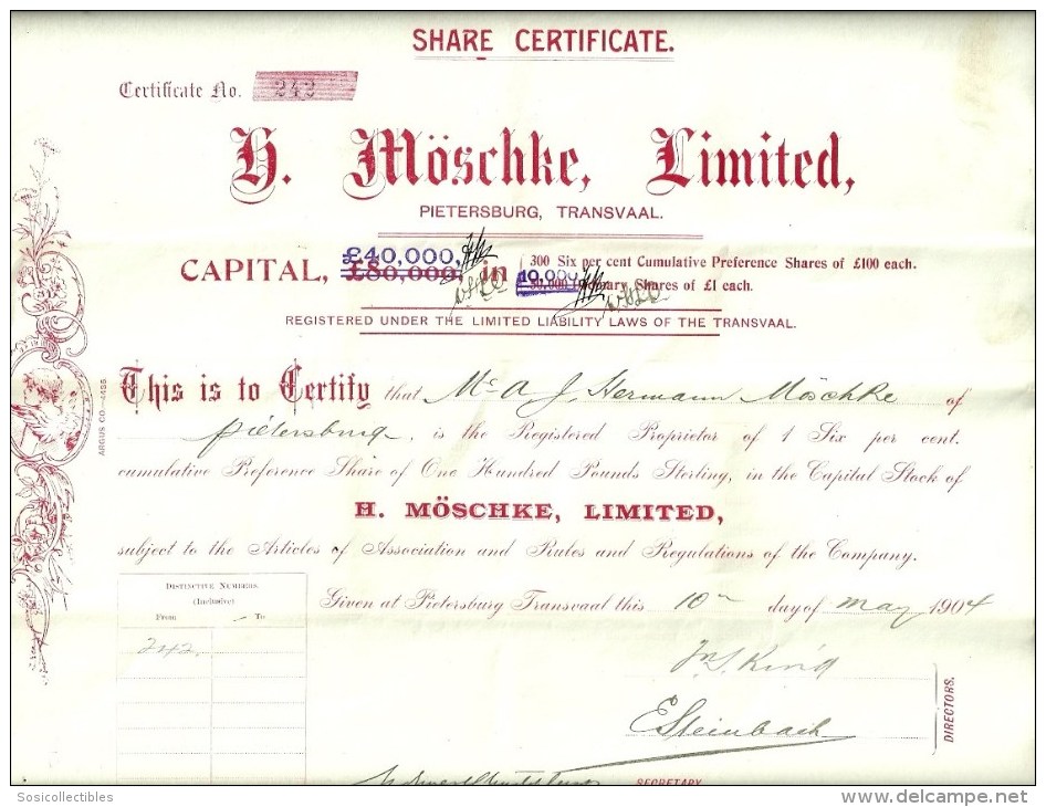 South African H. Moschke Ltd Share Certificate - Dated 1904 - Africa