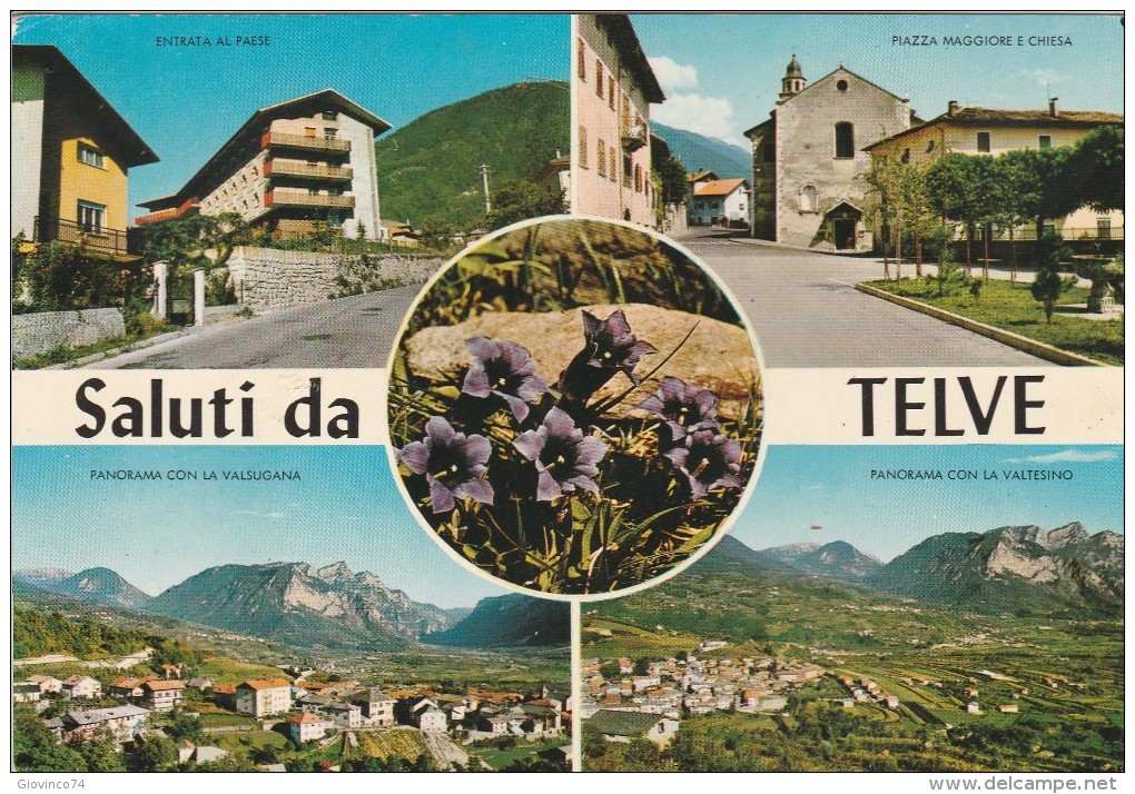 TRENTO - TELVE - SALUTI DA.........TT - Trento