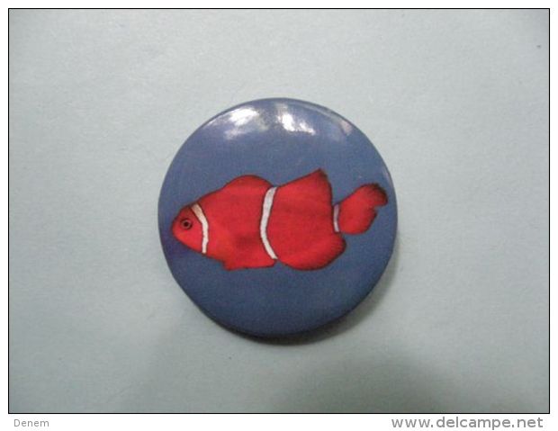 Badge Animaux - Poisson Clown - Brooches