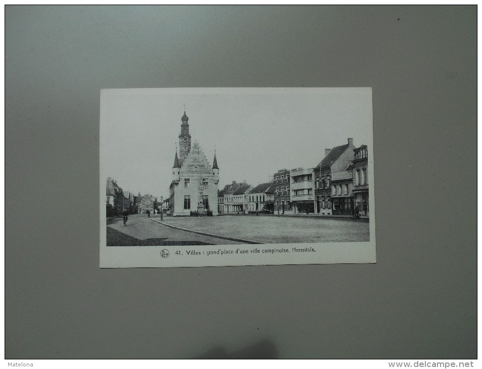 BELGIQUE ANVERS LES PAYSAGES BELGES 3eme SERIE LA CAMPINE VILLES GRAND PLACE D'UNE VILLE CAMPINOISE HERENTALS - Herentals