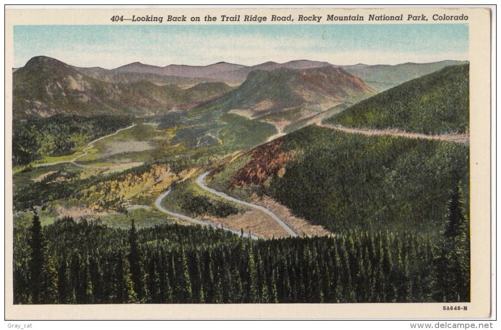 Trail Bridge Road, Rocky Mountain National Park, Colorado, Unused Postcard [17842] - Rocky Mountains