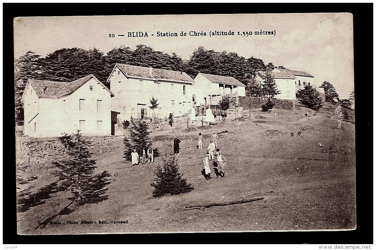 CPA ANCIENNE- AFRIQUE- ALGÉRIE- BLIDA- LA STATION DE CHRÉA A 1550 M D'ALTITUDE- ANIMATION GROS PLAN- - Blida