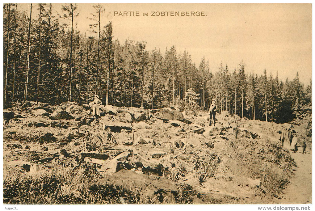 Pologne - Poland - Polska - Partie Im Zobtenberge - 2 Scans - état - Pologne