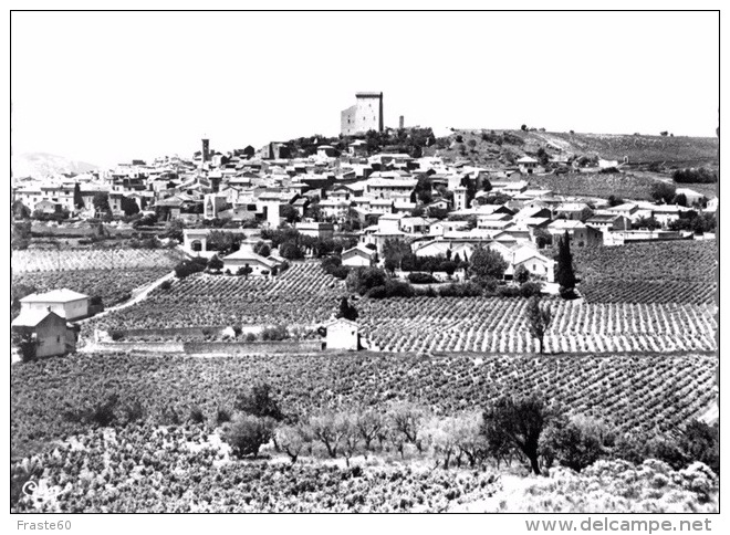 # Chateauneuf Du Pape - Vue Générale Et Vignoble - Chateauneuf Du Pape