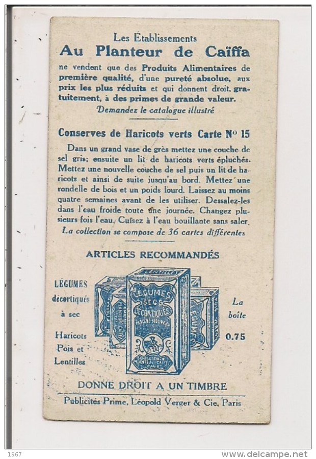 Chromos Ou Images - Chromo Conserves De Haricots Verts Carte N° 15 (Perroquet) - Au Planteur De Caïffa - Altri & Non Classificati