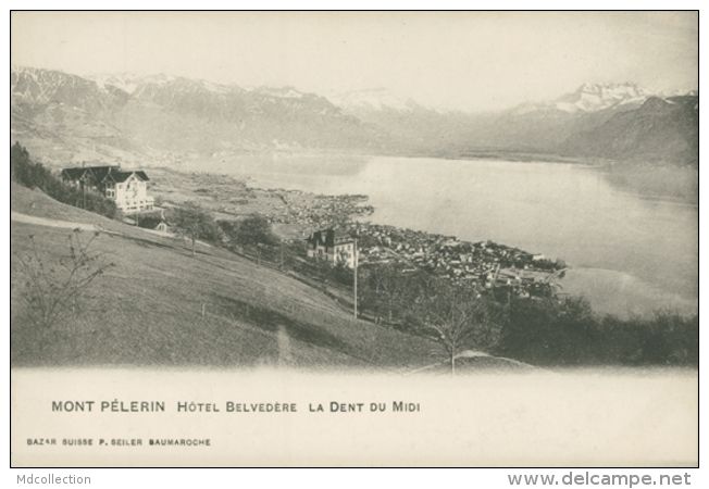 CH CHARDONNE / Mont Pèlerin, Hôtel Belvédère La Dent Du Midi / - Chardonne