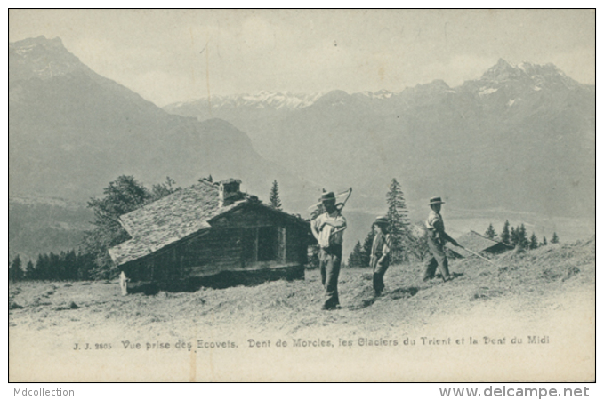 CH LAVEY MORCLES / Vue Prise Des Ecovets, Dent De Morcles, Les Glaciers Du Trient Et La Dent Du Midi / - Lavey