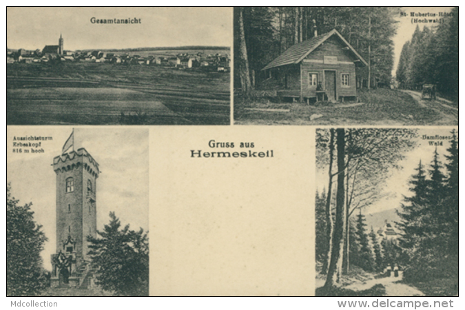 DE HERMESKEIL / Gesamtansicht, Saint Hubertus-Hütt, Damfloser Wald / - Hermeskeil