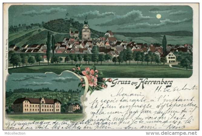 DE HERRENBERG / Bezirkskrankenhaus / CARTE COULEUR - Herrenberg