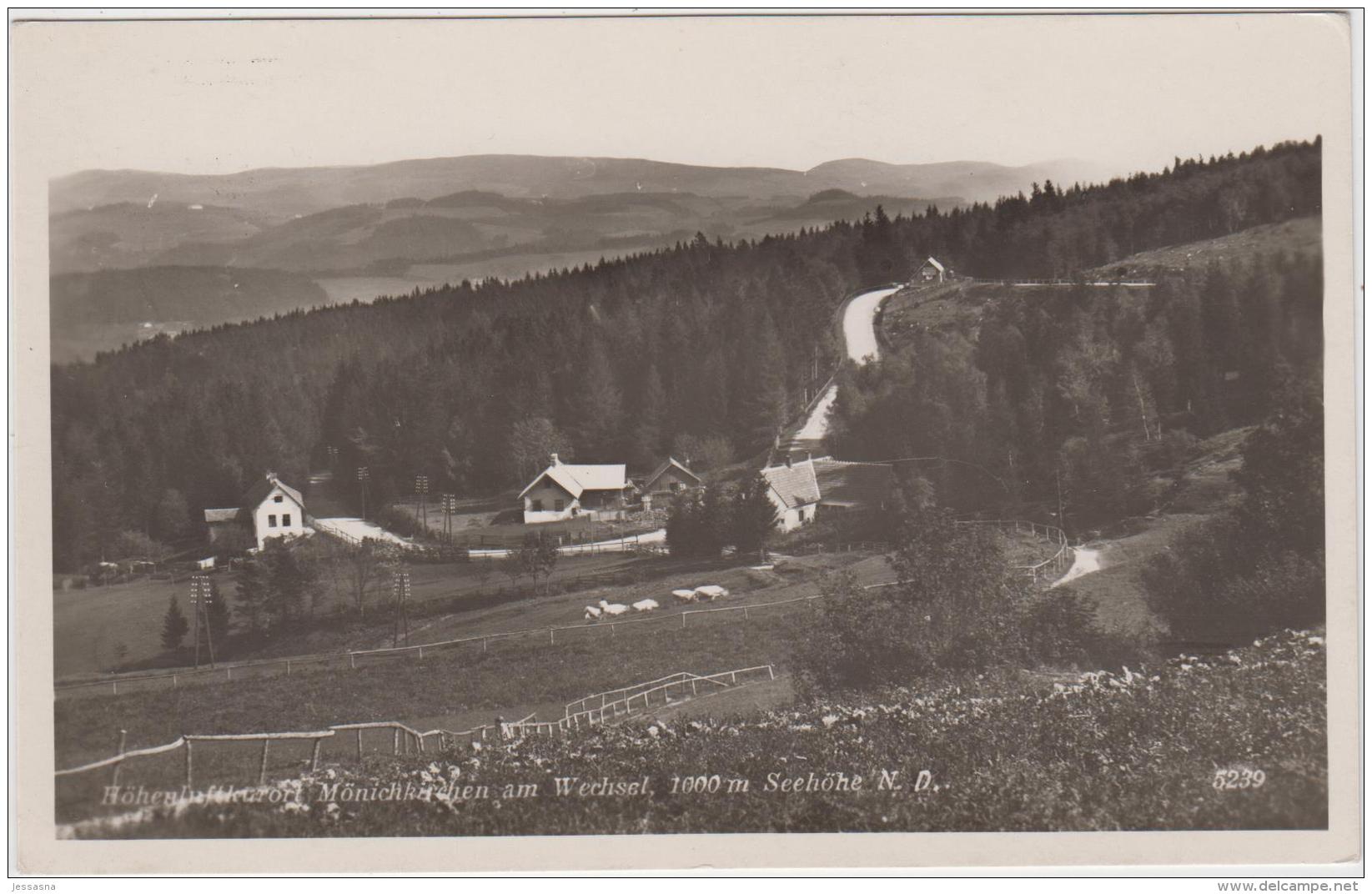 AK -NÖ -  Mönichkirchen - 1930 - Neunkirchen