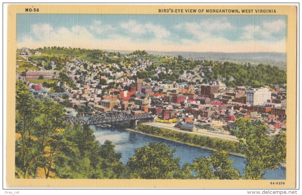 Bird's-eye View Of Morgantown, West Virginia,  Unused Linen Postcard [17918] - Morgantown