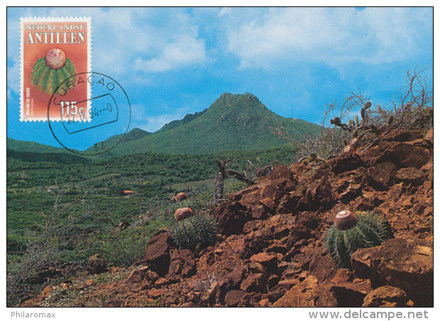 D24071 CARTE MAXIMUM CARD 1994 NETHERLANDS ANTILLES - MELOCACTUS AT CURAÇAO CP ORIGINAL - Sukkulenten