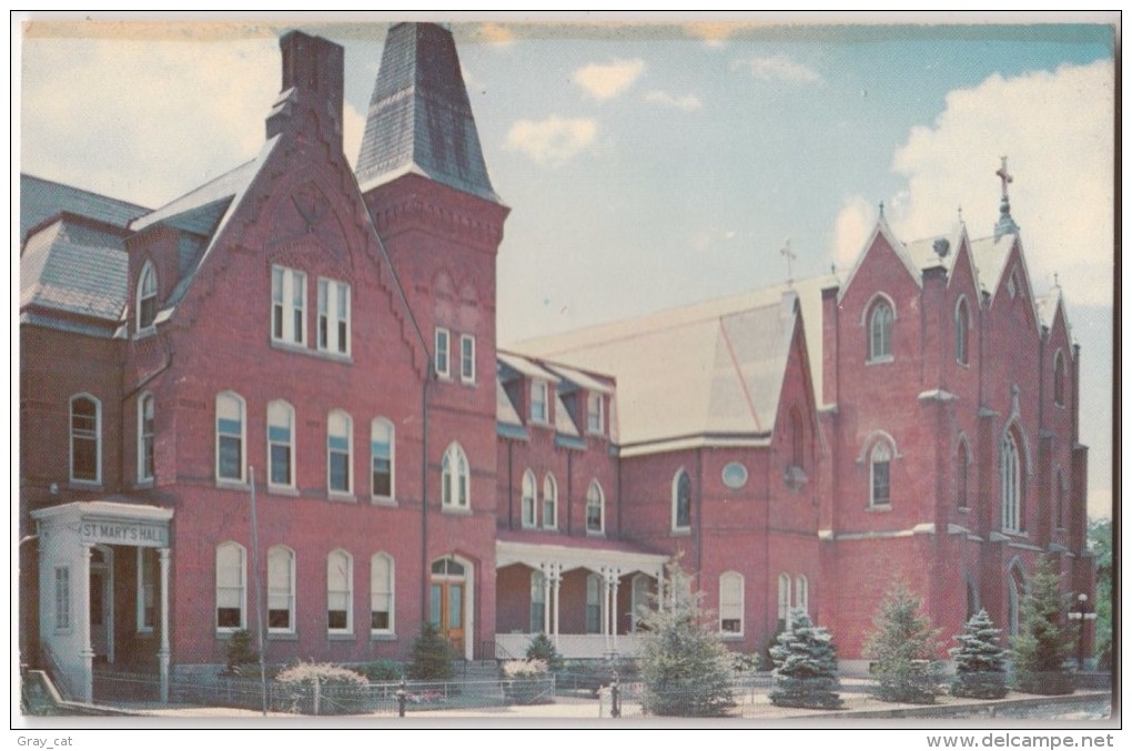 St. Mary's Of The Assumption, Lancaster, Pennsylvania,  Unused Postcard [17943] - Lancaster